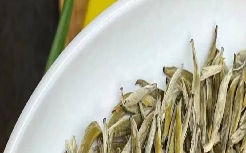 花茶金针和银针的区别图片,金针针灸的功效与作用