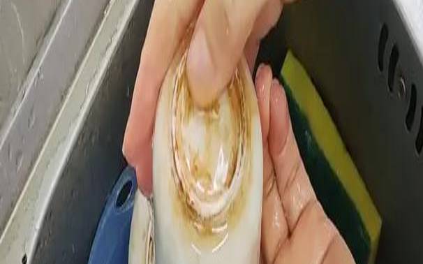 如何清洗普洱茶渍,茶杯怎么清洗茶垢