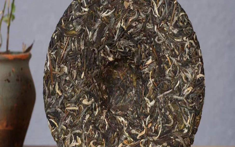 老年人喝什么普洱茶好,老年人喝普洱茶好不好 老年人喝什么普洱茶好,老年人喝普洱茶好不好