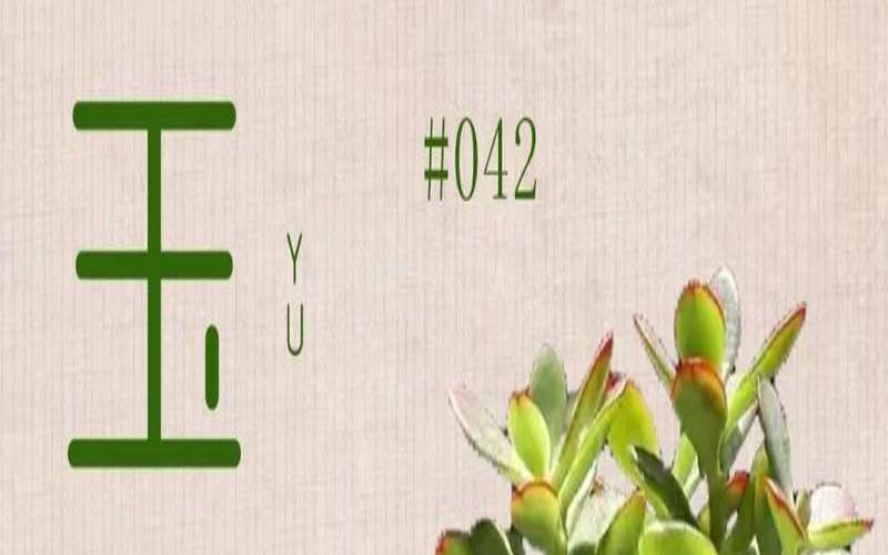 玉树能用茶叶水浇吗,如何养玉树能让玉树更绿 玉树能用茶叶水浇吗,如何养玉树能让玉树更绿
