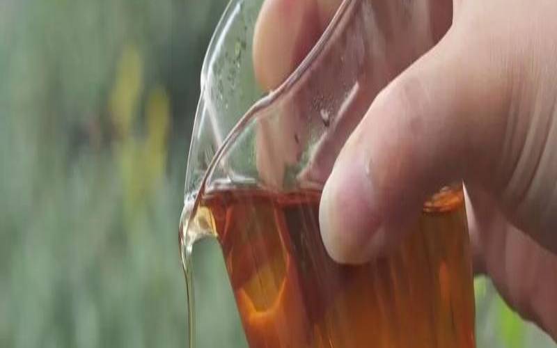 喜欢熟茶的人,喜欢生茶的人 喜欢熟茶的人,喜欢生茶的人