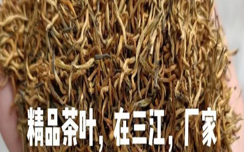 三江茶叶怎么样,三江茶叶有哪些品种