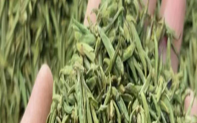 永嘉喝茶的地方哪里好,浙江产红茶吗 永嘉喝茶的地方哪里好,浙江产红茶吗