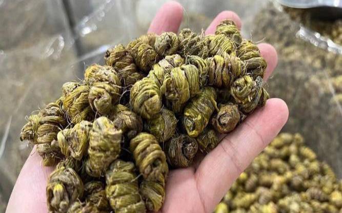 石斛花蜜有什么功效和禁忌,石斛花有蜜吗 石斛花蜜有什么功效和禁忌,石斛花有蜜吗