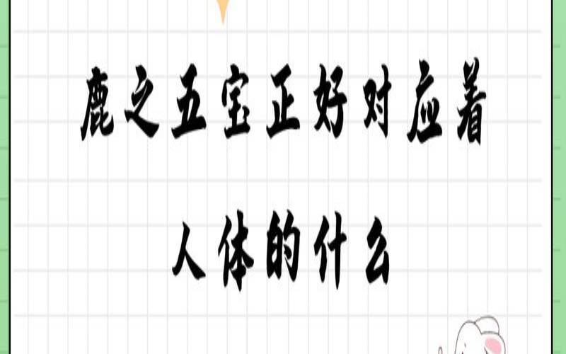 五宝是哪五宝，鹿之五宝是哪五宝