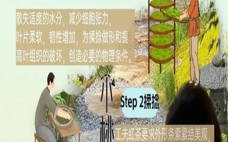 红茶制作工艺，红茶基本制作工艺流程