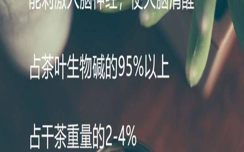 茶叶里含咖啡因吗