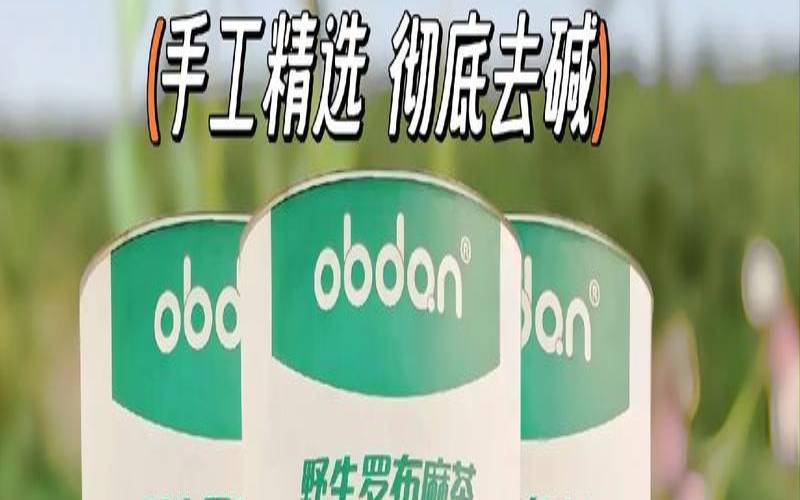 罗布麻茶有什么功效和作用，野生罗布麻茶有什么作用