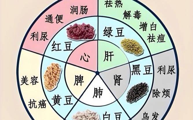 人生五味有哪五味,五味的功效和作用 人生五味有哪五味,五味的功效和作用