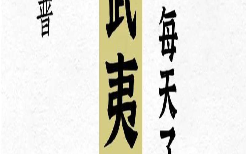 描写武夷山茶叶诗句,武夷山茶叶知识大全