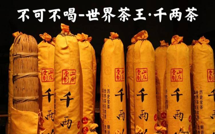什么叫百两茶千两茶,千两茶的三个特征