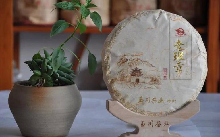 普洱茶王集团(普洱茶王集团庄园),普洱茶王集团是否上市 普洱茶王集团(普洱茶王集团庄园),普洱茶王集团是否上市