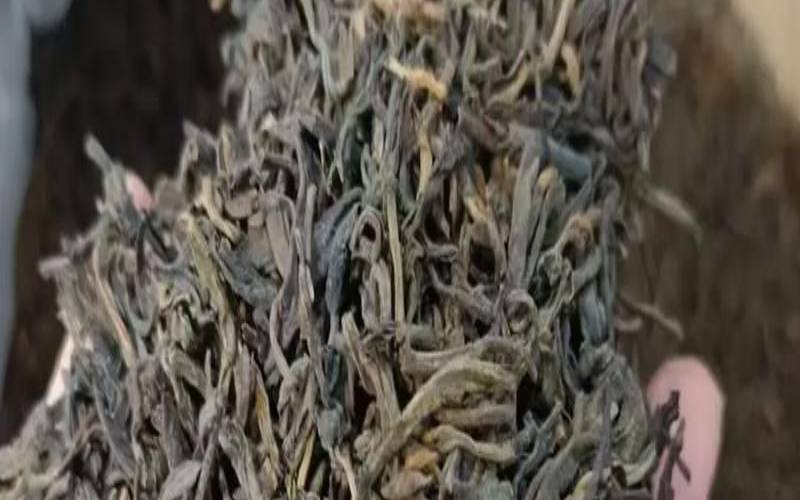 优质的普洱熟茶滋味,陈年熟普洱茶的口感 优质的普洱熟茶滋味,陈年熟普洱茶的口感