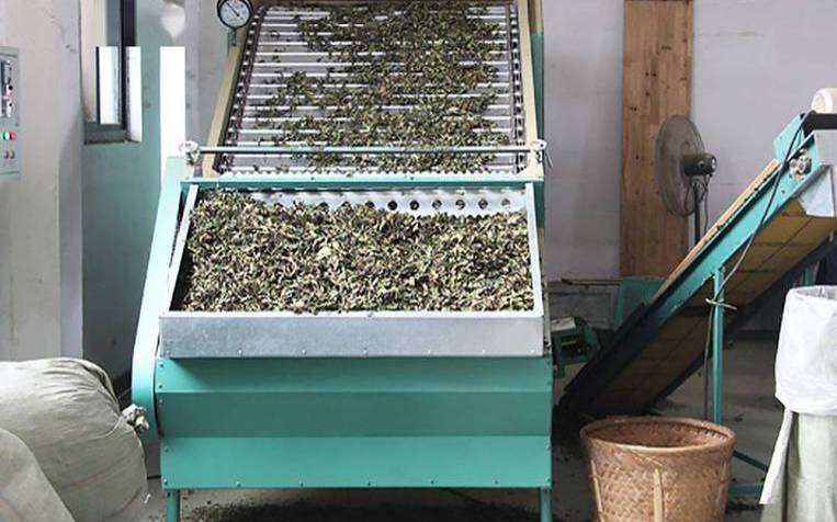 茶叶加工工国家标准,茶叶深加工产品有哪些