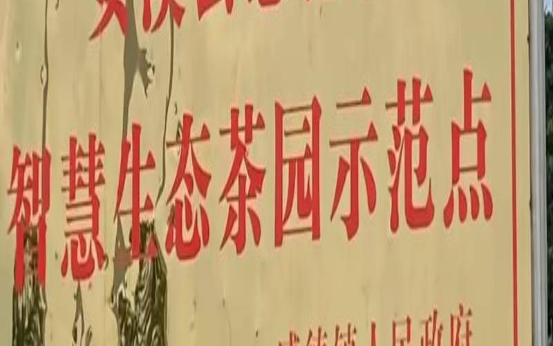 安溪县建安片区11-c-08地块,安溪县感德镇茶叶市场 安溪县建安片区11-c-08地块,安溪县感德镇茶叶市场