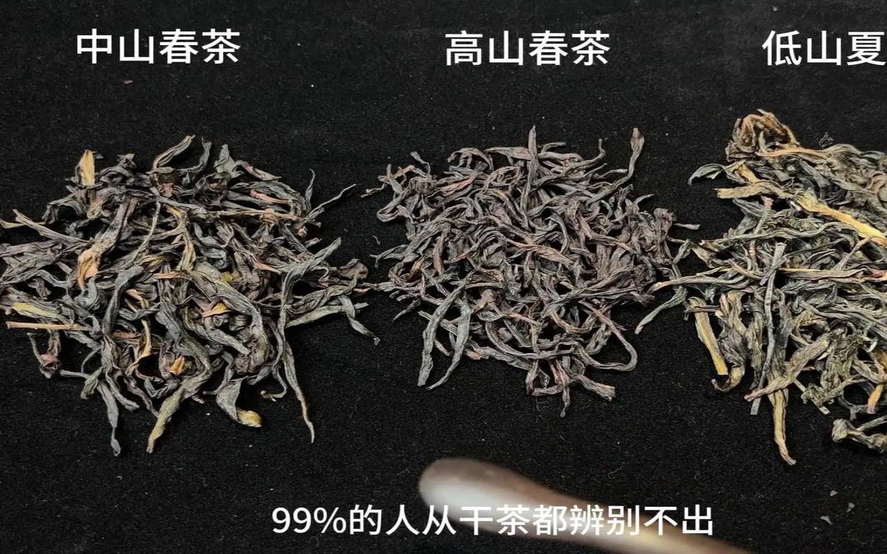 三山扁茶袋装价格,高山茶与低山茶的区别 三山扁茶袋装价格,高山茶与低山茶的区别