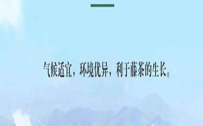 扶风为什么叫扶风,莓茶是什么茶 扶风为什么叫扶风,莓茶是什么茶