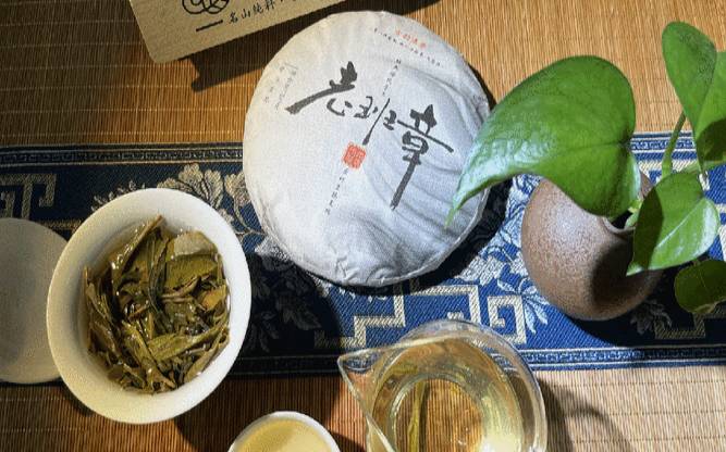 普洱茶饮用方法gif,普洱茶可以煮着喝吗 普洱茶饮用方法gif,普洱茶可以煮着喝吗