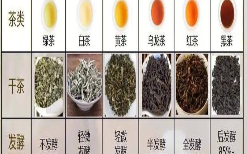 普洱茶绿茶一起喝吗,天天喝普洱茶好吗