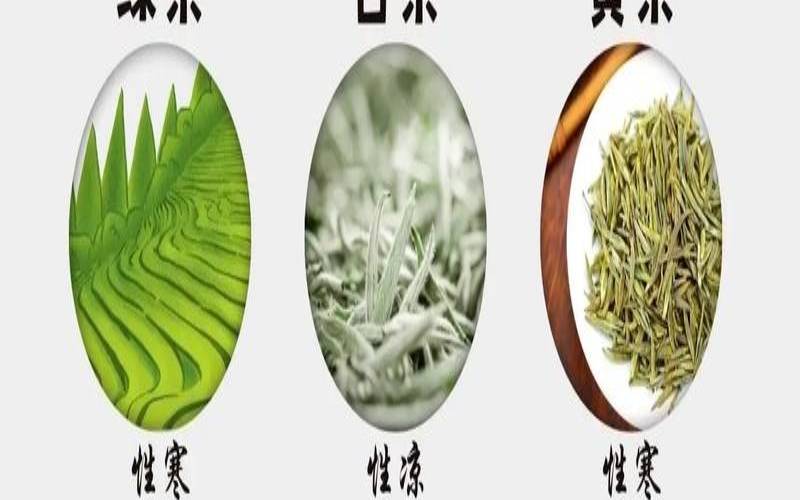冷泡茶对身体好吗,冷泡茶健康吗