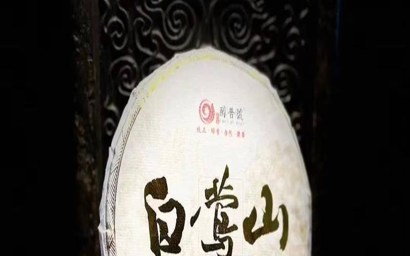 白莺山古树茶特点白莺山古树生茶存放时间多长时间，白莺山古树茶特点
