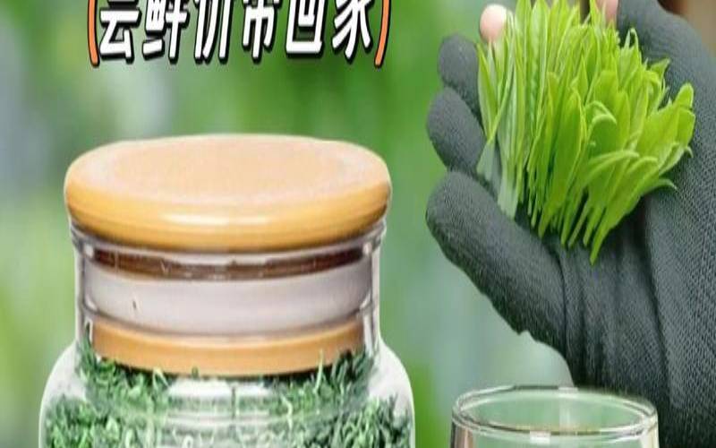 茉莉碧螺春属于什么茶凉吗,云南碧螺春属于什么茶