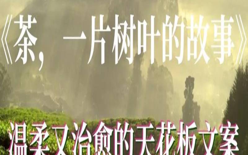 中国茶一片绿叶的故事,央视关于茶的纪录片