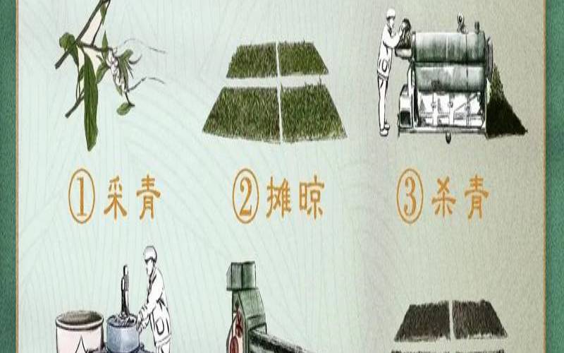 熟普洱茶的制作工艺流程,普洱茶工艺制作过程