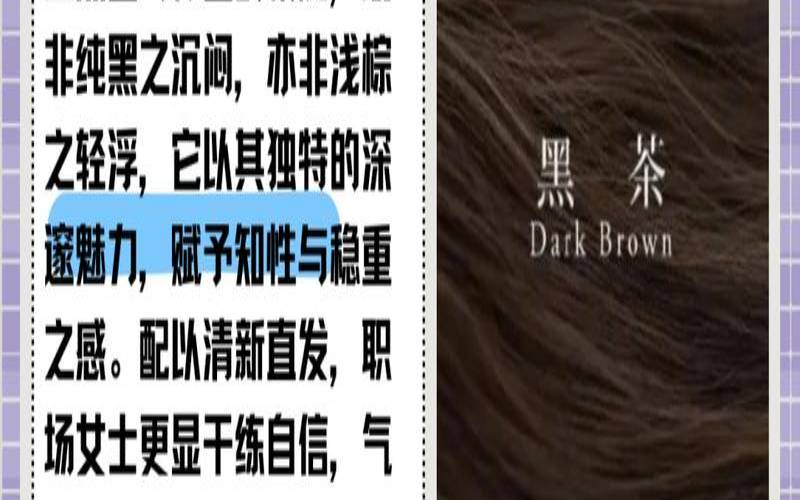 广西黑茶和湖南黑茶的区别,黑茶是真的还是假的