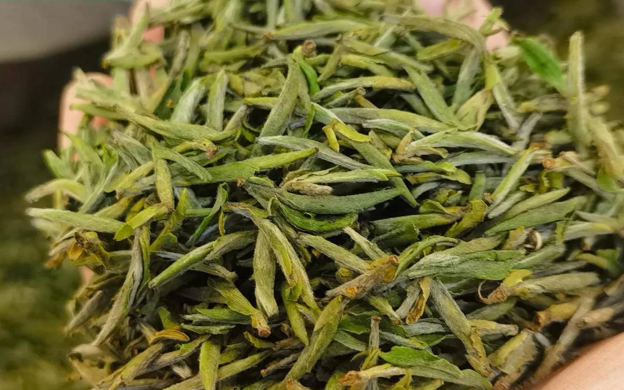 霍山黄芽价格表，霍山黄芽贵吗