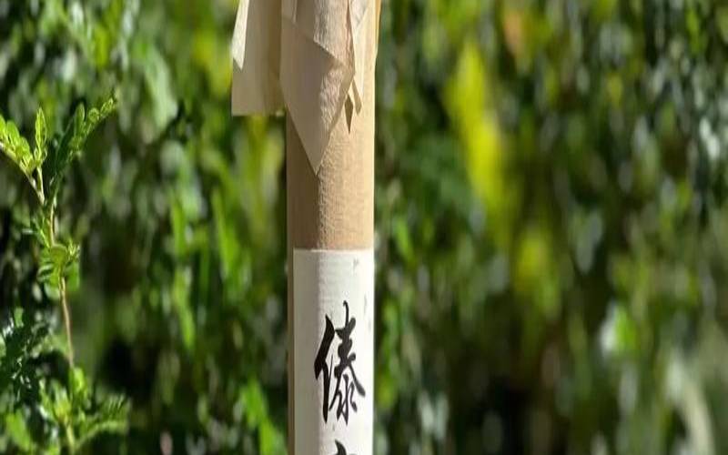 简述傣族竹筒茶的特点,竹筒普洱茶价格
