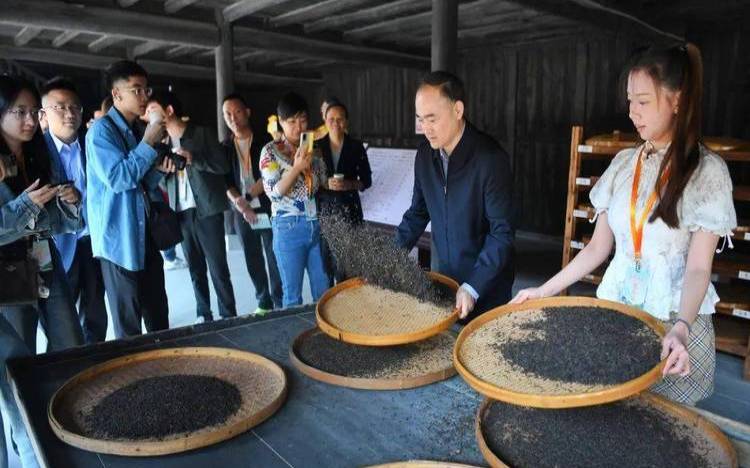 烟溪茶叶有限公司,沙溪黑茶功效与作用