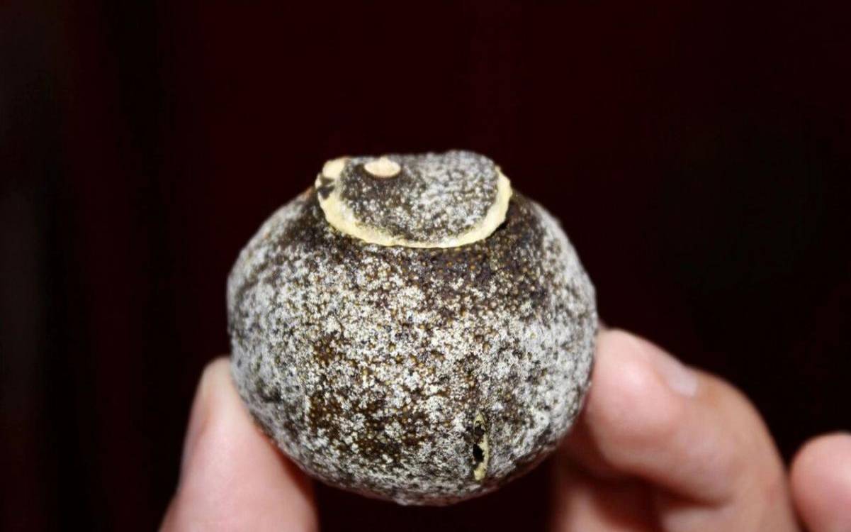 小青柑有点腥怎么回事,小青柑有腥味是什么原因 小青柑有点腥怎么回事,小青柑有腥味是什么原因
