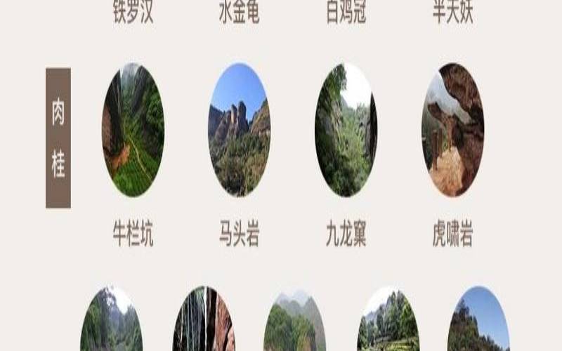 岩茶有哪些品种名称图片,岩茶的种类名称大全 岩茶有哪些品种名称图片,岩茶的种类名称大全