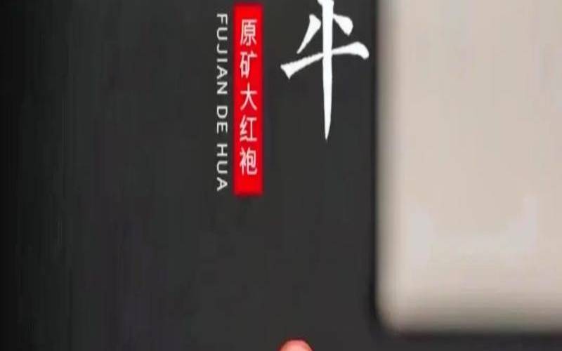 大红袍泥壶泡什么茶,紫泥和段泥哪个贵 大红袍泥壶泡什么茶,紫泥和段泥哪个贵