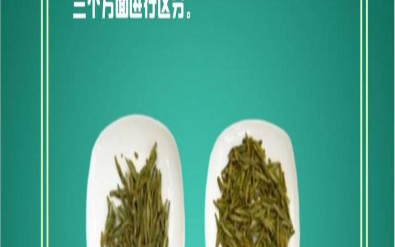新龙井茶和陈龙井茶区别,龙井新茶和老茶有什么区别