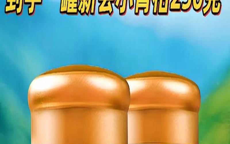 橘子普洱茶多少钱一颗,普洱小青柑多少钱一斤