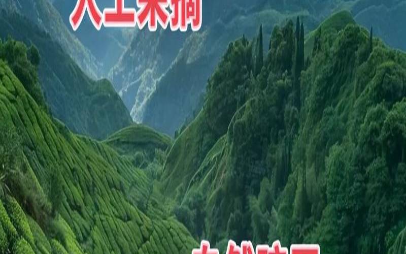 茶叶产地环境条件是什么,种植茶叶的有利自然条件