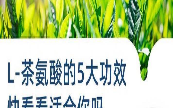 茶叶中氨基酸的含量是,氨基酸的不适合什么人