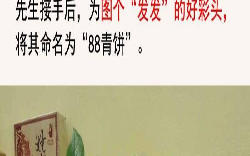 八八青饼是什么茶,甲子的来历和创始人