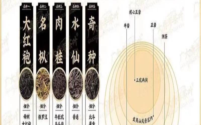 武夷山岩茶是属于什么茶,武夷山水仙茶介绍