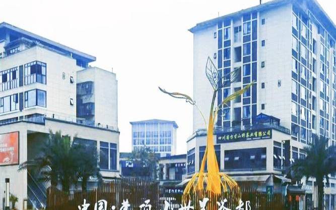 蒙顶山茶叶批发市场在哪,茶叶批发市场一手货源 蒙顶山茶叶批发市场在哪,茶叶批发市场一手货源