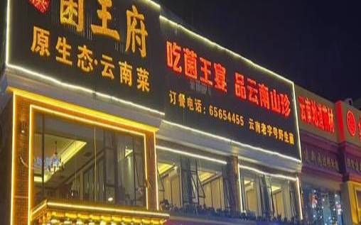 普洱菌子餐厅哪家好,云南菌食店十大排名