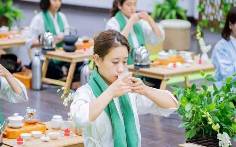 禅茶茶艺视频,茶道分为几个阶段 禅茶茶艺视频,茶道分为几个阶段