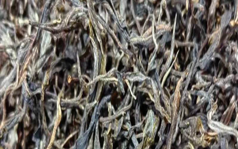普洱古树茶有什么功效,古树茶的特点和功效是什么