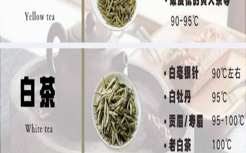 单从属什么茶类,单从属什么茶类冲泡温度 单从属什么茶类,单从属什么茶类冲泡温度