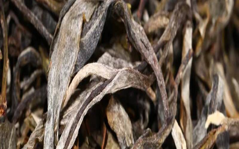 龙润私房一号普洱茶,新益号普洱茶怎么样 龙润私房一号普洱茶,新益号普洱茶怎么样