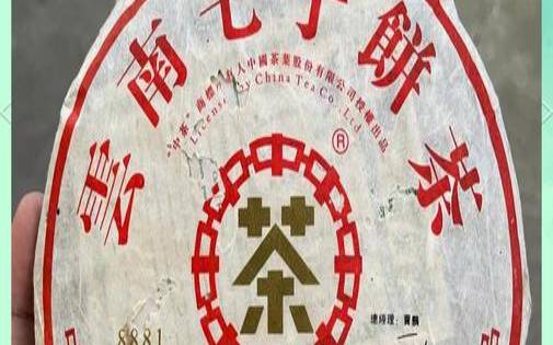 布朗普洱茶价格357克价格,布朗乔木普洱茶价格