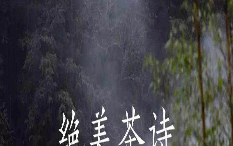 红尘外的茶香阅读,品茶的意境精美诗句 红尘外的茶香阅读,品茶的意境精美诗句
