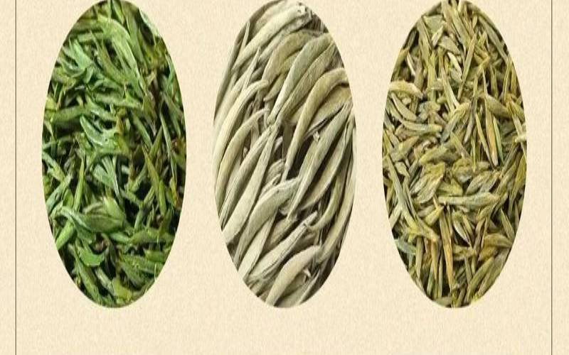 如何进行茶叶的选购与保存,新手怎么买茶叶